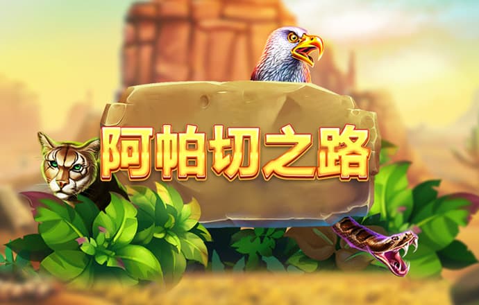 澳门今晚一肖必中特
